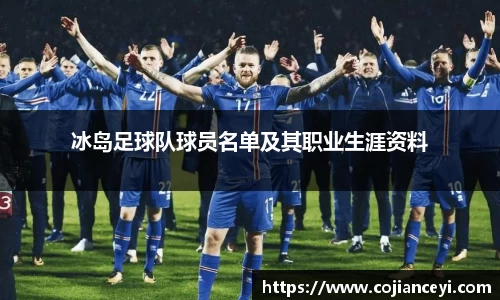 冰岛足球队球员名单及其职业生涯资料