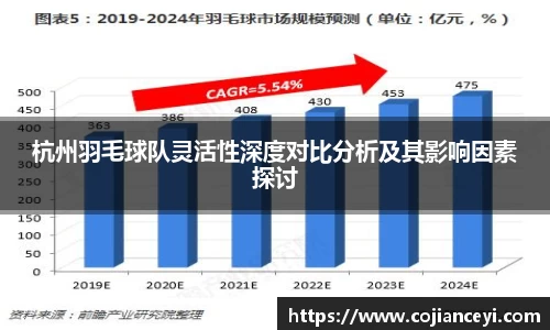 杭州羽毛球队灵活性深度对比分析及其影响因素探讨
