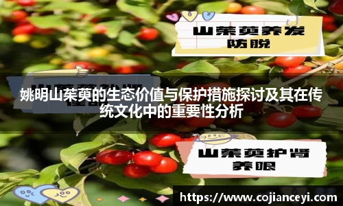 emc易倍.emc易倍官网