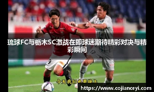 琉球FC与枥木SC激战在即球迷期待精彩对决与精彩瞬间
