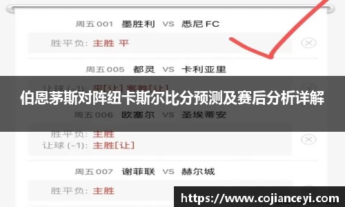 伯恩茅斯对阵纽卡斯尔比分预测及赛后分析详解