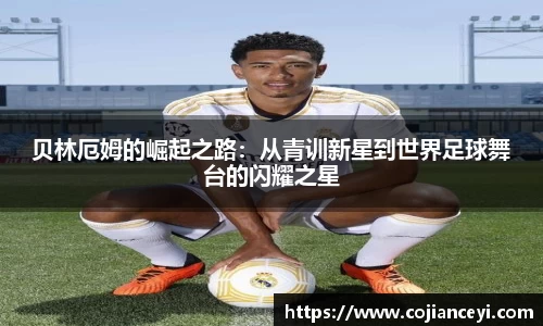 emc易倍体育