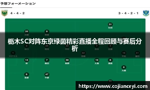 枥木SC对阵东京绿茵精彩直播全程回顾与赛后分析