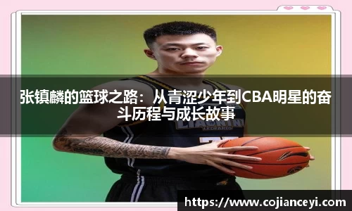 张镇麟的篮球之路：从青涩少年到CBA明星的奋斗历程与成长故事