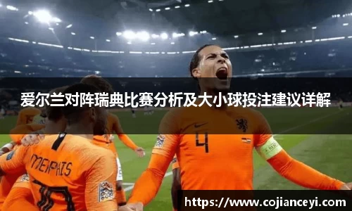 爱尔兰对阵瑞典比赛分析及大小球投注建议详解