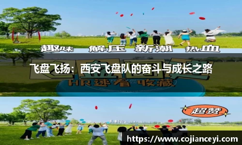 飞盘飞扬：西安飞盘队的奋斗与成长之路